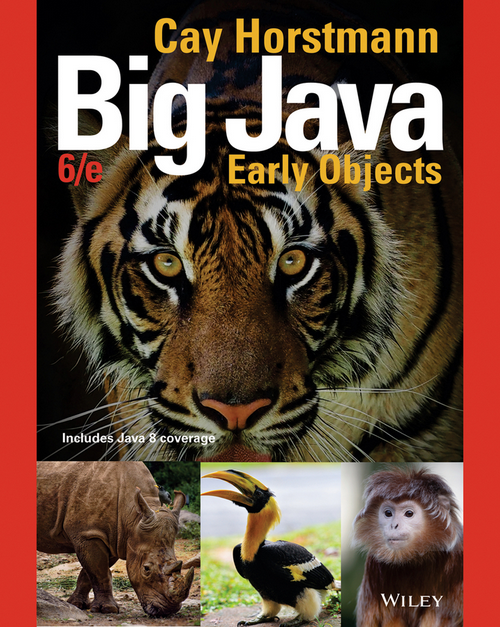 Big Java 6