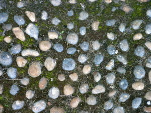 cobblestones.jpg